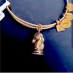 Alex and Ani “The Knight” Chess ♟️ Bracelet